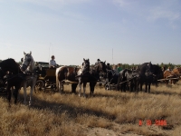 dsc02227-jpg1361713869