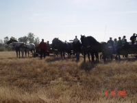 dsc02229-jpg1361713869