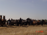 dsc02230-jpg1361713870