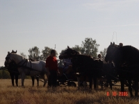 dsc02231-jpg1361713870