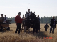 dsc02232-jpg1361713870