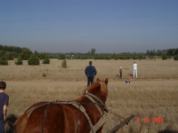 dsc02233-jpg1361713870