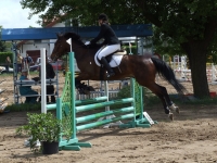 dscf0383-jpg1361713897