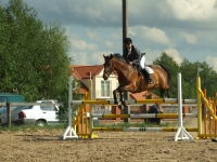 dscf0436-jpg1361713898