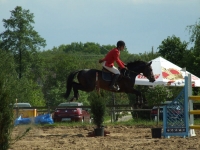 dscf0439-jpg1361713899