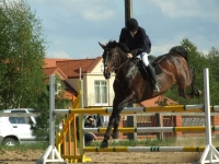 dscf0448-jpg1361713900