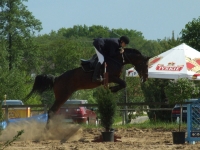 dscf0451-jpg1361713900