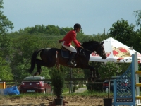 dscf0455-jpg1361713901