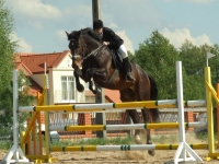 dscf0457-jpg1361713902