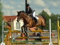 dscf0458-jpg1361713902