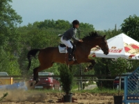 dscf0459-jpg1361713902