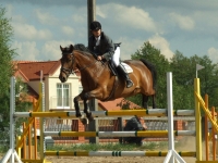 dscf0462-jpg1361713903