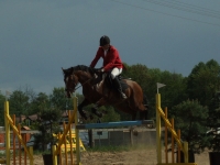 dscf0467-jpg1361713905