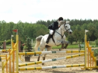 dscf0476-jpg1361713906