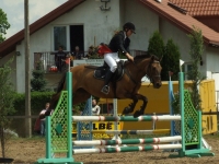 dscf0478-jpg1361713907