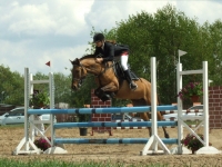 dscf0479-jpg1361713907