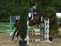 dscf0480-jpg1361713907