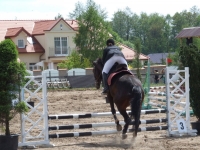 dscf0489-jpg1361713910