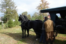 dsc02055-jpg1361713942