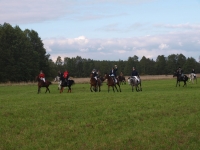 pa020091-jpg1361714115