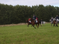 pa020092-jpg1361714115