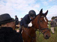 pa020096-jpg1361714116