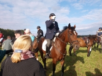 pa020100-jpg1361714117