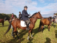 pa020101-jpg1361714117