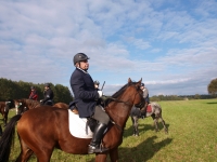 pa020104-jpg1361714118