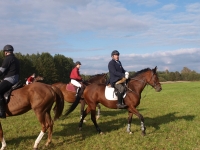 pa020108-jpg1361714119